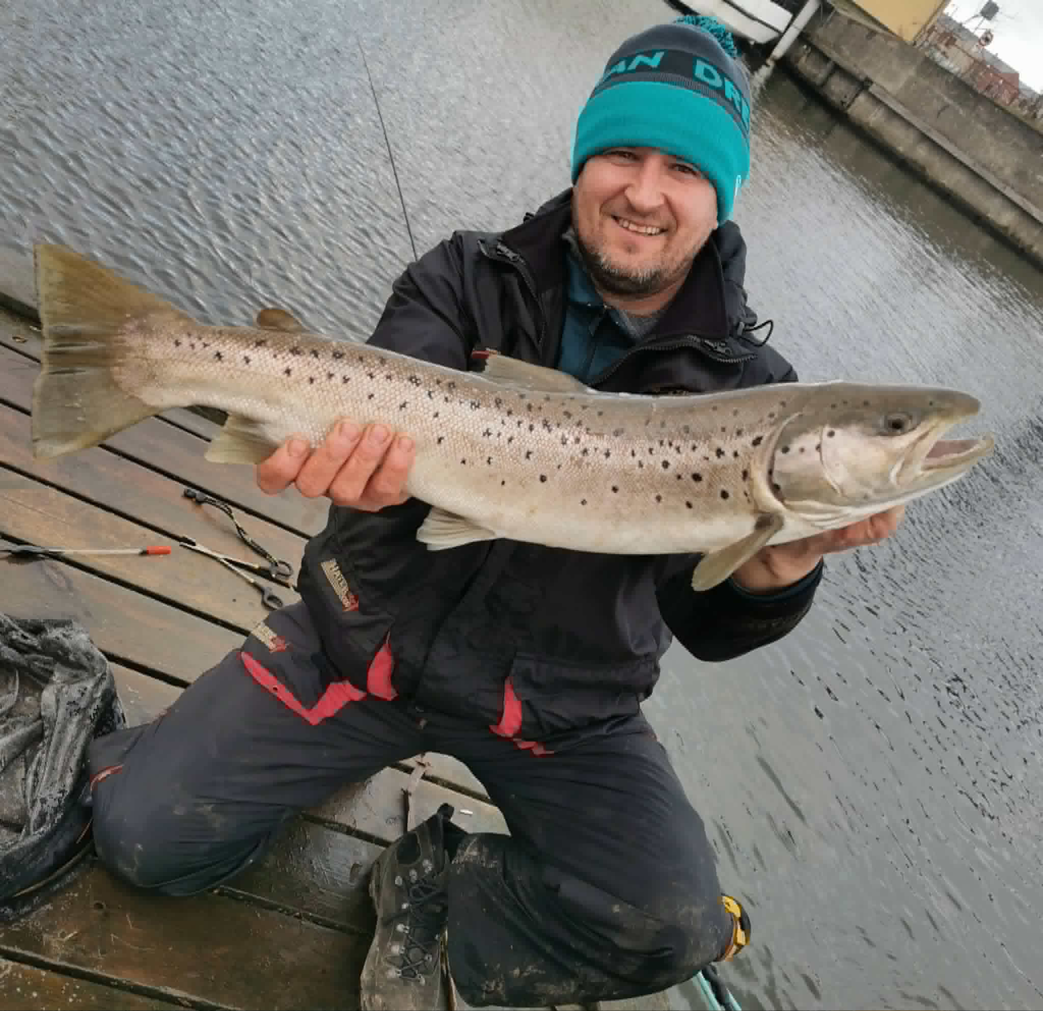 Harbour trout / Danish water