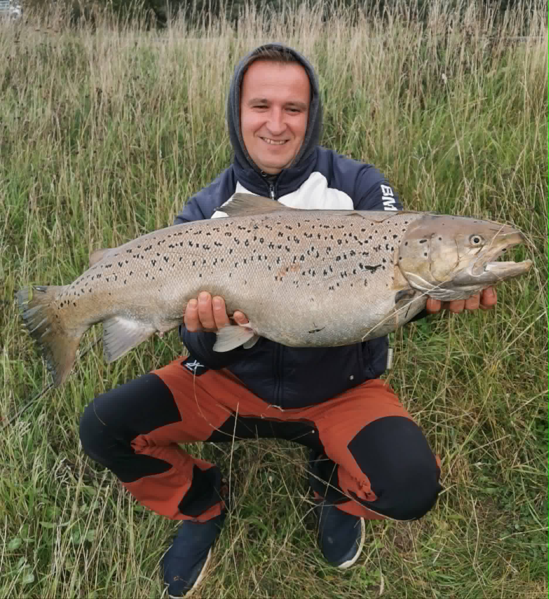 Marsh trout / reed line