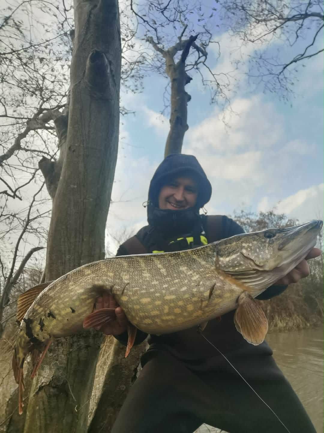 Pike by the river trees